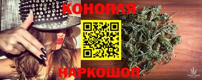 мяу мяу мука Будённовск