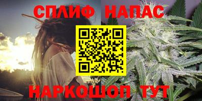 мяу мяу мука Будённовск