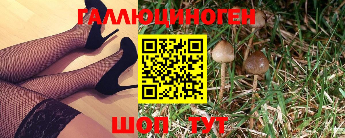 Галлюциногенные грибы Cubensis Советская Гавань