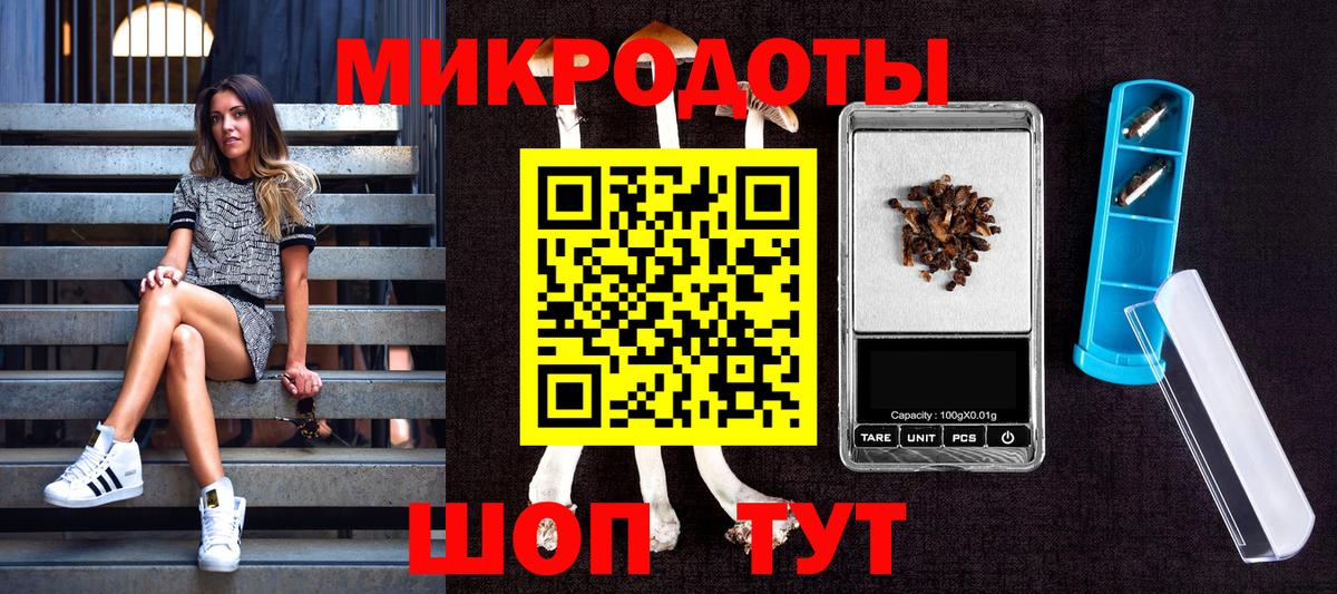 Псилоцибиновые грибы Magic Shrooms  Вход с VPN  Псилоцибиновые грибы Psilocybine cubensis  Советская Гавань 