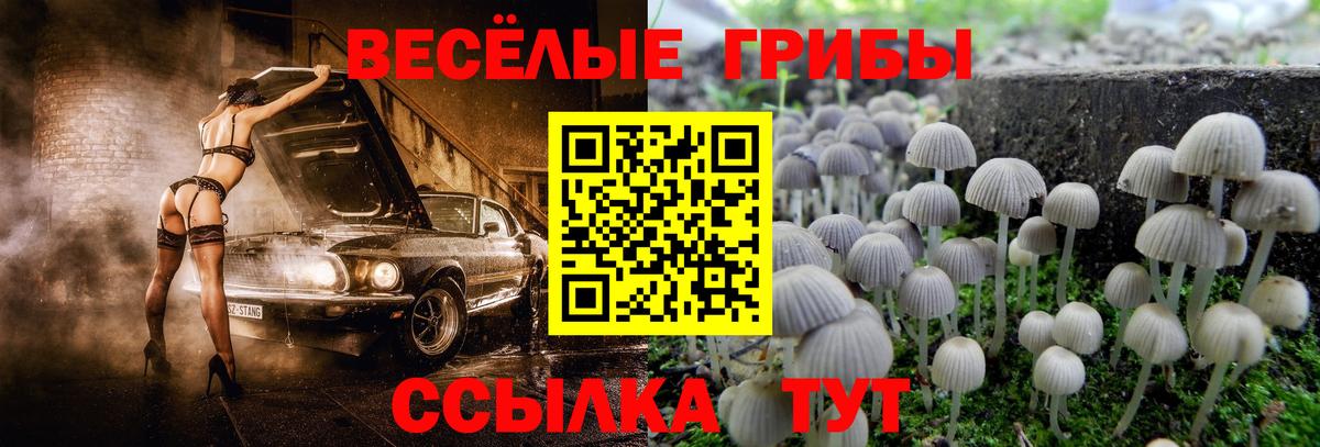 Галлюциногенные грибы мухоморы Советская Гавань